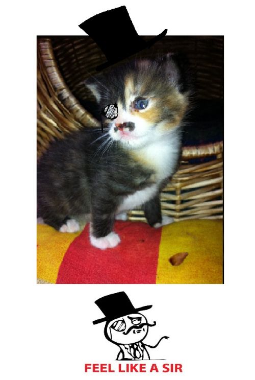 hornoxe.com_userpicdump05_44