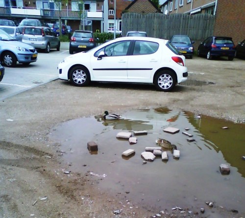 hornoxe.com_userpicdump07_20