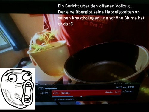 hornoxe.com_userpicdump08_27