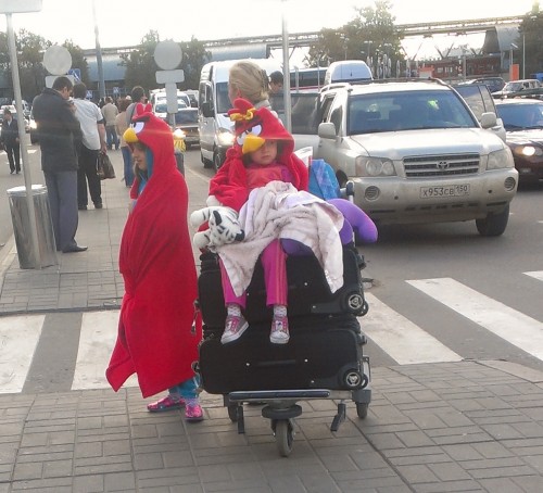 hornoxe.com_userpicdump08_37