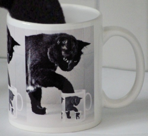 hornoxe.com_userpicdump10_18