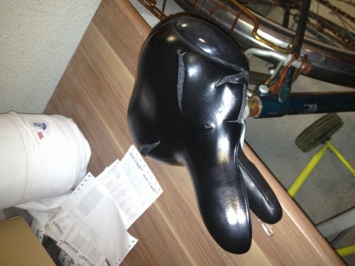 hornoxe.com_userpicdump11_18