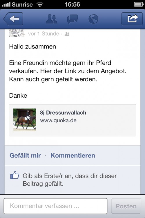 hornoxe.com_userpicdump11_21