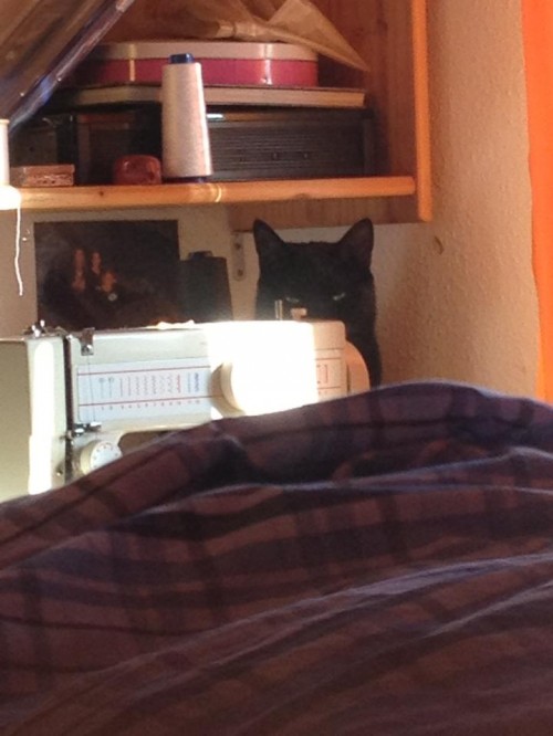 hornoxe.com_userpicdump11_22