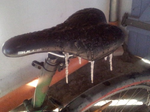 hornoxe.com_userpicdump12_02