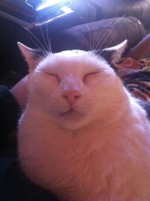 hornoxe.com_userpicdump12_23