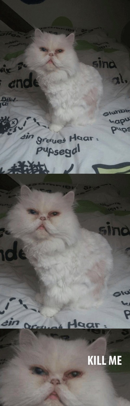 hornoxe.com_userpicdump12_28