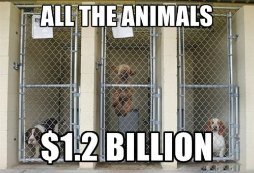 whatsapp-ist-mehr-wert-als-all-diese-dinge-06