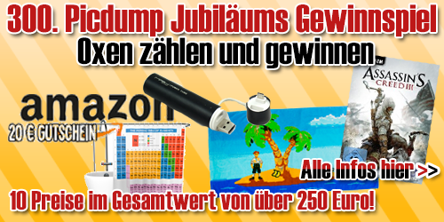 gewinnspiel_picdump300_2013_500